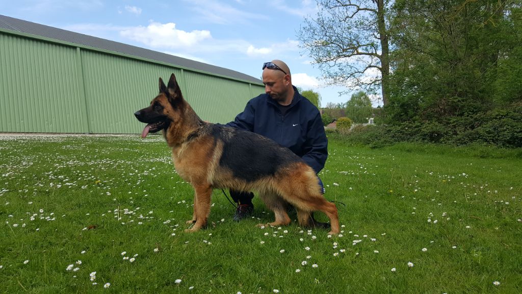 Maddy du val d'Anzin