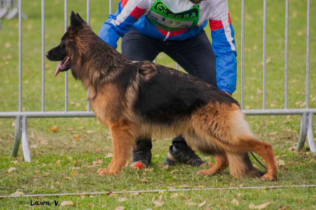 Priskana Von Angelius Team
