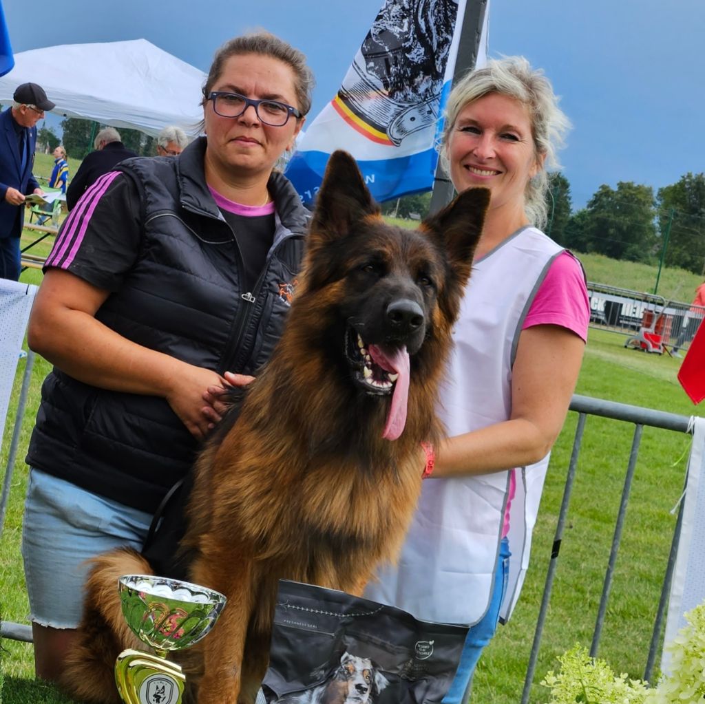 Senna Von Angelius Team 3ème Place au Championnat de Belgique 2023 