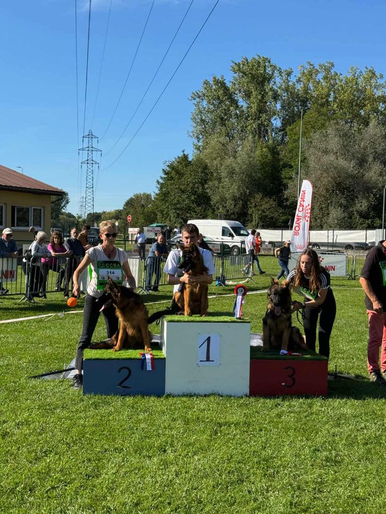 Champion de France Classe 6 - 9 CCBA Nationale d'Elevage 2025 