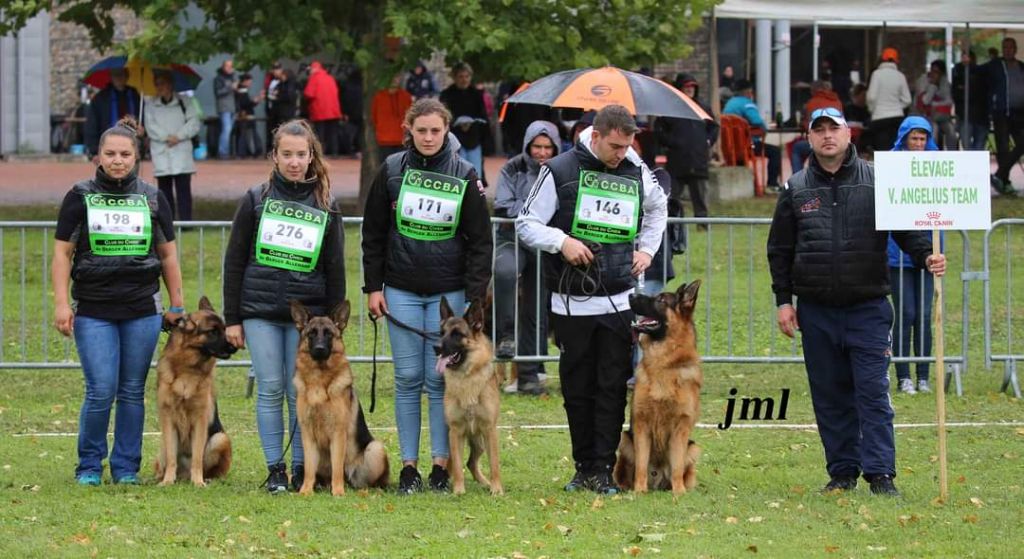 Von Angelius Team - 3ème Meilleur Élevage du France au Championnat CCBA 2021