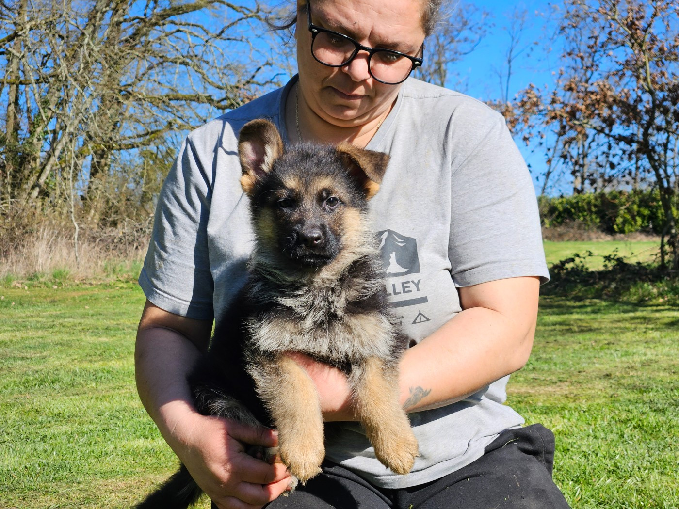 Von Angelius Team - Chiots disponibles - Berger Allemand