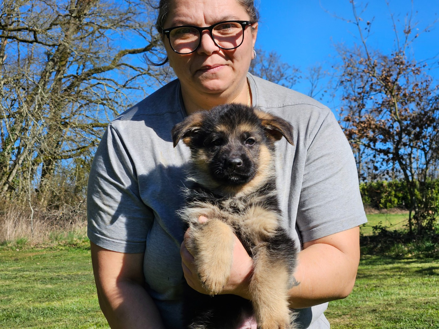 Von Angelius Team - Chiots disponibles - Berger Allemand