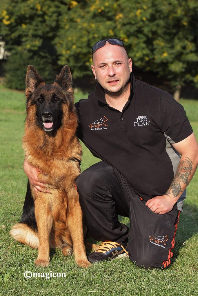 Chiot Berger Allemand Poil Long Von Angelius Team